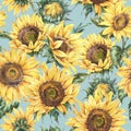 Watercolor rustic seamless pattern, farmhouse sunflower wildflowers