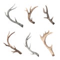 Watercolor rustic set of deer