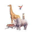 Watercolor safari animals