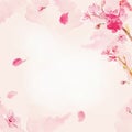 Watercolor sakura flower background