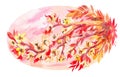 Watercolor sakura on pink sky background. Oval illustration in oriental style