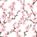 Watercolor Sakura Seamless Pattern. Watercolor Cherry Blossom Print, Pink Flowers On Branches