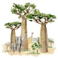 Watercolor Savannah Wild Animal illustration. Landscape africa composition with trees