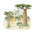 Watercolor Savannah Wild Animal illustration. Landscape africa composition with trees, giraffe and green mountain