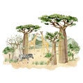 Watercolor Savannah Wild Animal illustration. Landscape africa composition with trees, giraffe, zebra, leopard and green mountain.
