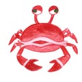 Watercolor sea animal cartoon crab Royalty Free Stock Photo