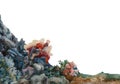 Watercolor sea bottom with rocks and corals in a reef colorful underwater landscape isolated for background. Original illustration