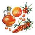 Watercolor sea buckthorn oil jar and berries