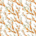Watercolor sea buckthorn vector pattern