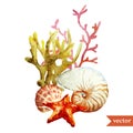Watercolor, , sea, coral, shell Royalty Free Stock Photo