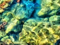 Watercolor sea landscape. Seabed background, sea bottom through transparent water. Marine life. Travel and vacation concept. Royalty Free Stock Photo