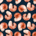 Watercolor sea life nautilus shell pattern Royalty Free Stock Photo