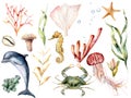 Watercolor sea life set. Hand painted coral reef, dolphin, crab, seahorse, jellyfish, starfish and laminaria isolated on