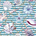 Watercolor sea shell seamless pattern. Hand drawn seashells texture striped ocean background Royalty Free Stock Photo