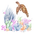 Watercolor sea turtle at the bottom of the sea Royalty Free Stock Photo