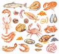 Watercolor seafood set.