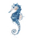 Watercolor seahorse hand drawn illustration isolated on white background.