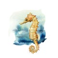 Watercolor seahorse. Underwater nautical illustration isolated on white background. For design, prints or background.