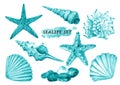 Watercolor sealife set with seashells, starfish and stones. Royalty Free Stock Photo
