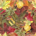 Watercolor seamless background leafs. Autumn Royalty Free Stock Photo