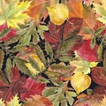 Watercolor seamless background leafs. Autumn Royalty Free Stock Photo