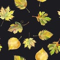 Watercolor seamless background leafs. Yellow and black Royalty Free Stock Photo