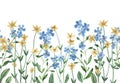 Watercolor seamless border of blue forget-me-not and yellow wildflowers with green leaves on white background Royalty Free Stock Photo