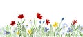 Watercolor seamless border, frame with wildflowers. cute floral print with red and blue flowers. simple leaves and flowers on whit Royalty Free Stock Photo