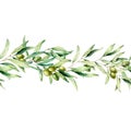 Watercolor seamless border with olive tree branch, green olive and leaves. Hand painted floral illustration isolated on