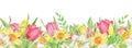 Watercolor seamless border of pink and yellow tulips and daffodils. Easter floral border.