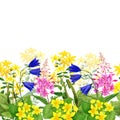 Watercolor seamless border, wild yellow, pink and blue flowers