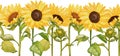 Watercolor seamless border yellow sunflowers isolated on white background. Royalty Free Stock Photo