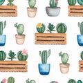 Watercolor seamless Cacti flower pattern.Hand-drawn background with cactus and succulents. Green house plants in the  pots Royalty Free Stock Photo