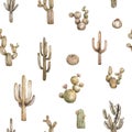 Watercolor seamless cactus pattern background. Cacti brown desert color banner on white background Royalty Free Stock Photo