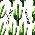 Watercolor seamless cactus pattern background Royalty Free Stock Photo