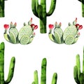 Watercolor seamless cactus pattern background Royalty Free Stock Photo