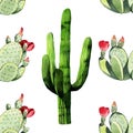 Watercolor seamless cactus pattern background Royalty Free Stock Photo