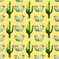 Watercolor seamless cactus pattern background Royalty Free Stock Photo