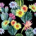 Watercolor seamless cactus pattern Royalty Free Stock Photo