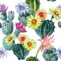 Watercolor seamless cactus pattern