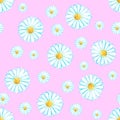 Watercolor seamless camomile flower pattern Royalty Free Stock Photo