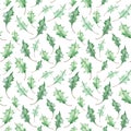 Watercolor seamless Christmas mistletoe leaves pattern. Winter green leaves. Hand-drawn background.