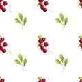Watercolor seamless Cranberry Pattern