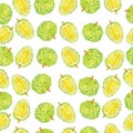 Watercolor seamless durian pattern on a white background. Hand drawn fresh food design elements.