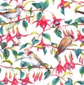 Watercolor seamless floral pattern Royalty Free Stock Photo