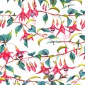 Watercolor seamless floral pattern Royalty Free Stock Photo