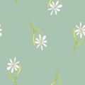 Watercolor seamless floral pattern. Illustration Flowers Daisies drawn by hand. Spring botanical print. Floral texture