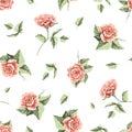 Watercolor seamless floral pattern with red flowers roses and leaves Royalty Free Stock Photo