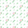 Watercolor seamless floral pattern with Rosehip wild rose flower with green leaves.On white background Royalty Free Stock Photo