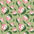 Watercolor seamless floral pattern. Royalty Free Stock Photo
